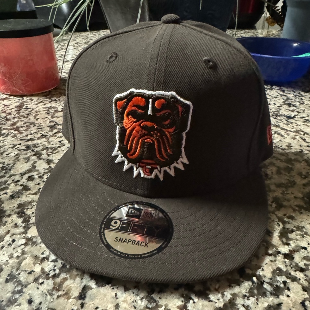 Bears Snapback Hat